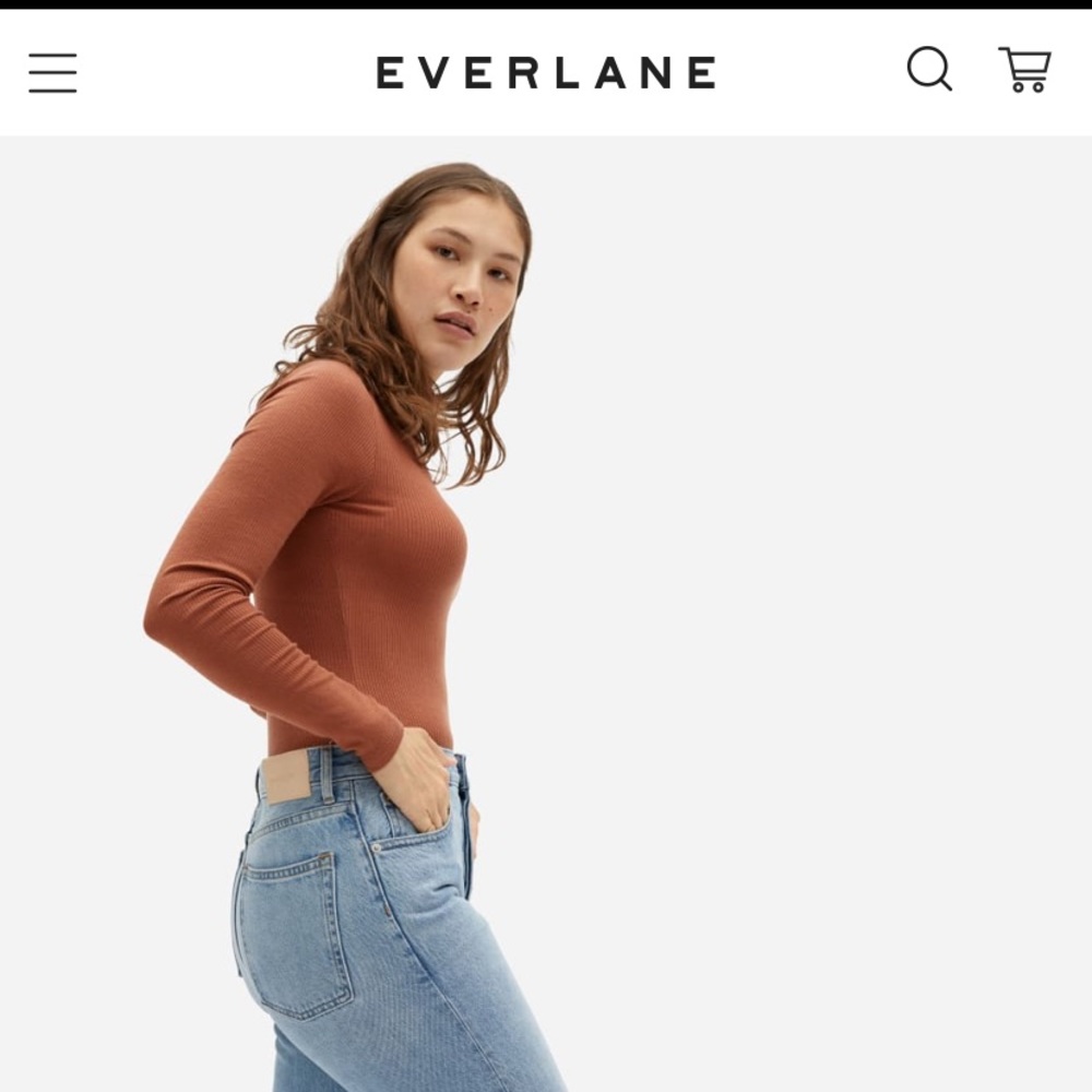 Everlane Turtleneck Bodysuit in Dark Spice.